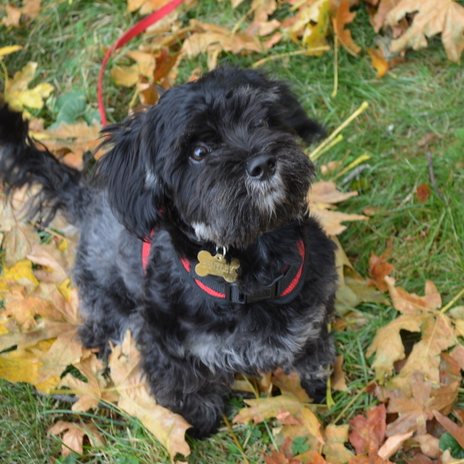 Bentley, Keenan Facebook Manager