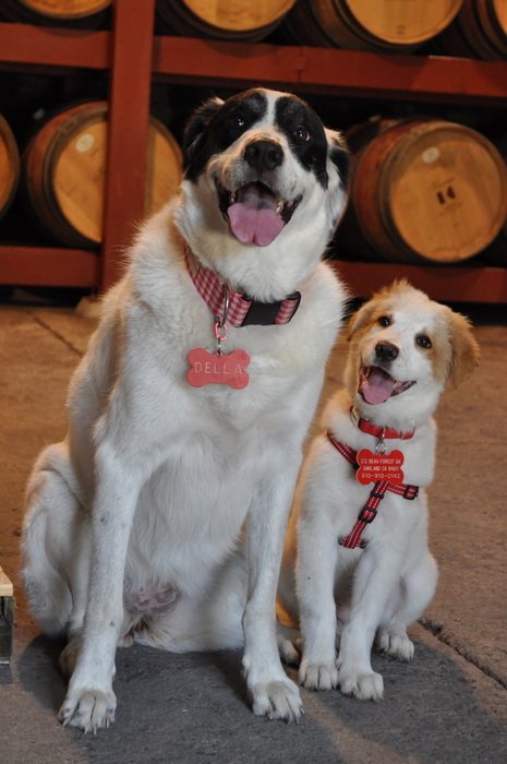 Della, Yelp Page Manager at Keenan Winery