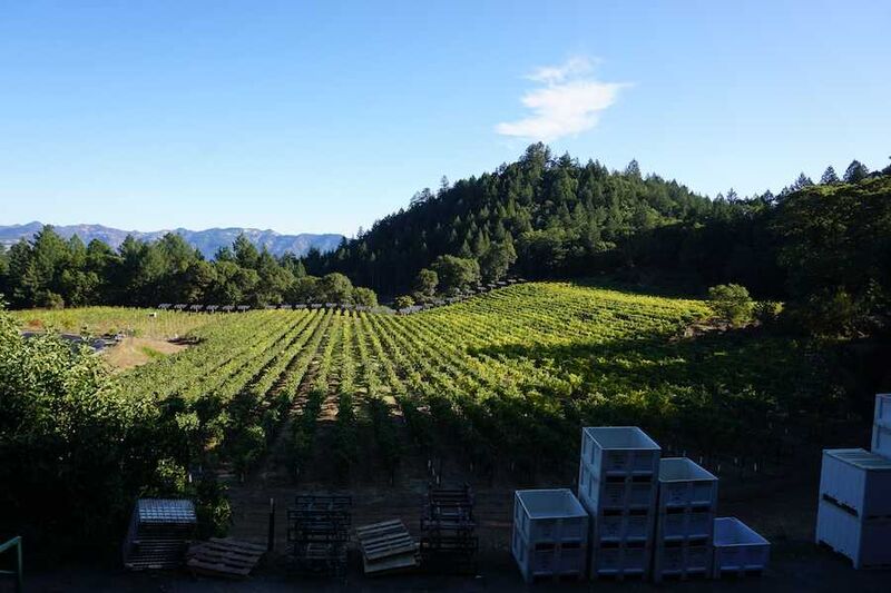 Solar array powering the Keenan Winery estate on Spring Mountain, online since 2007