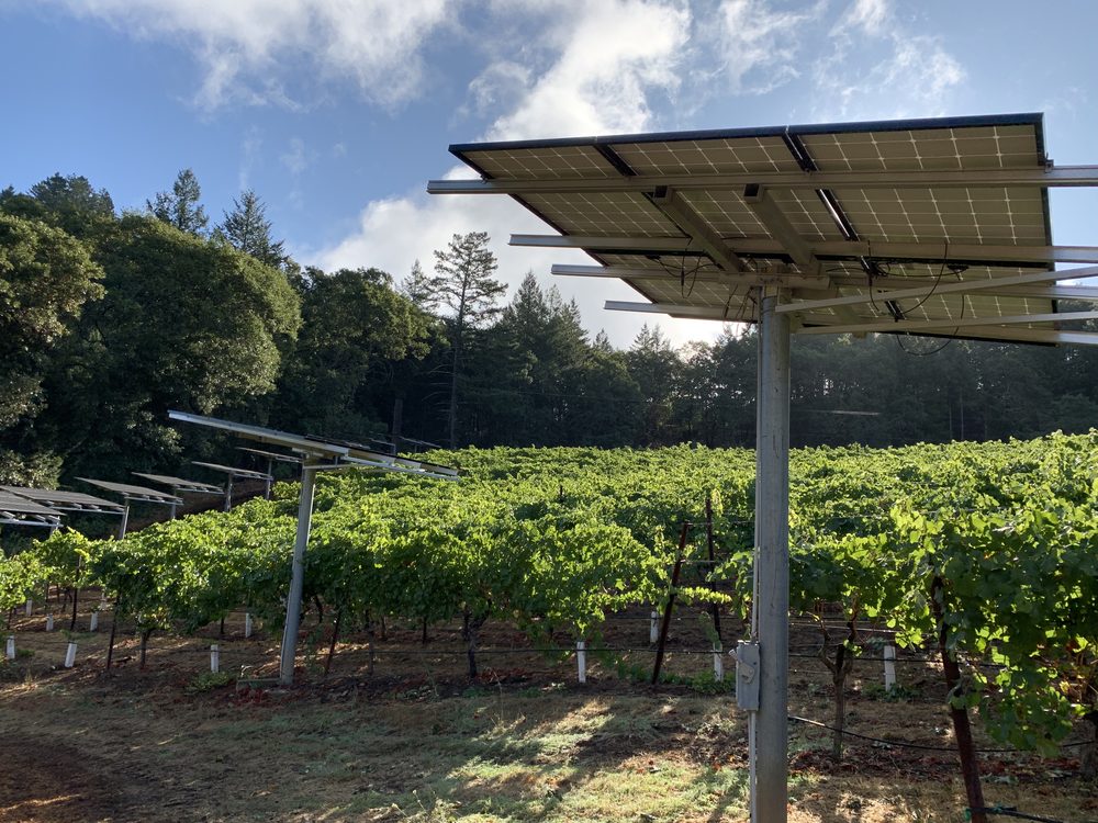 Solar panels mounted on posts above the vine rows on the Keenan estate, with the forested ridge behind