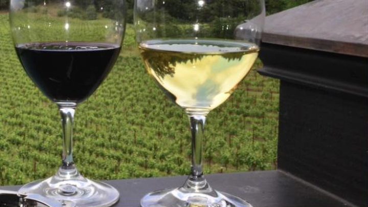 Still from the Mernet and wine tasting basics video