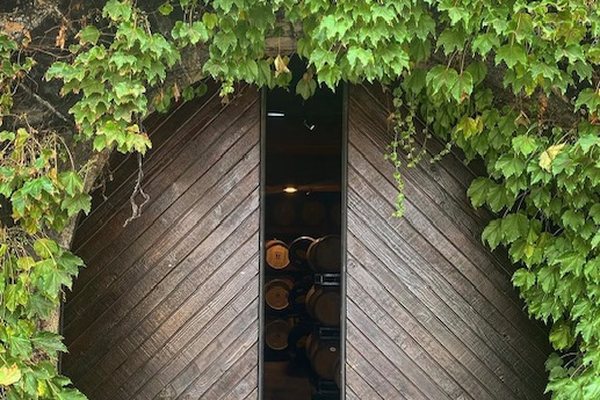 Wooden double doors set in an ivy-covered stone arch, open a crack onto barrels stacked in the Keenan cellar