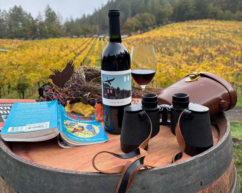 A mountain wine experience on Spring Mountain
