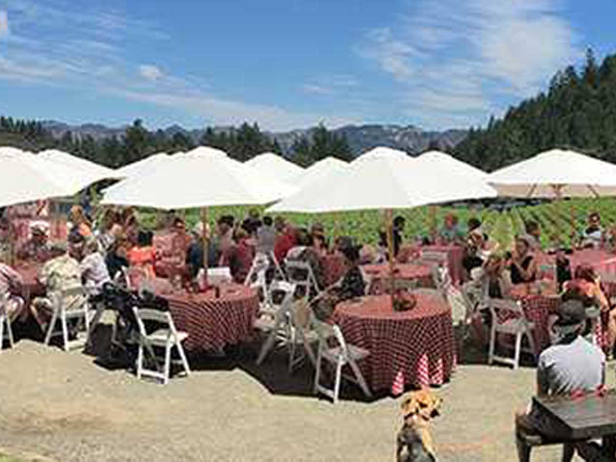 keenan-winery-open-house-panorama-stretch