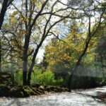 Autumn Keenan Winery Road