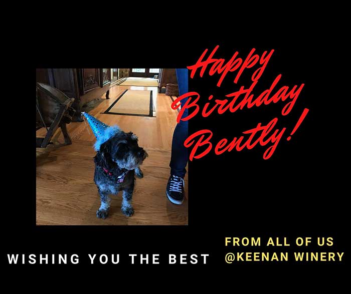 May-4-Bently-Birthday