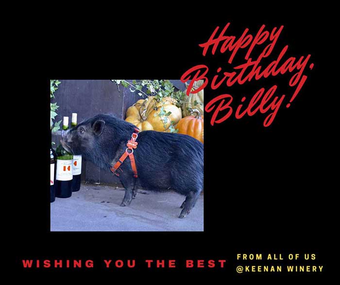 billy
